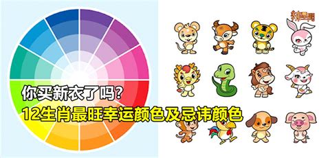 幸運色五行顏色|五行命理！12生肖的幸運數字和顏色